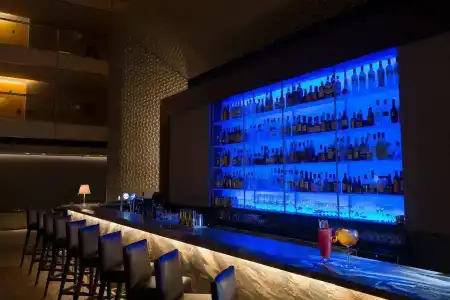 Hilton Buenos Aires - 23
