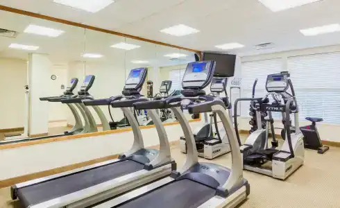 Staybridge Suites San Antonio Airport, An Ihg - 19