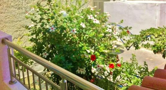 Dioskouroi Apts - 41