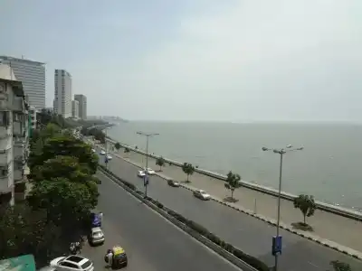 Sea Green South - 55