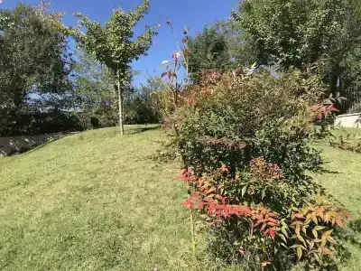 b&b Oasi Vetoio - 33