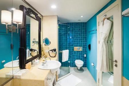 Jai Mahal Palace - 62