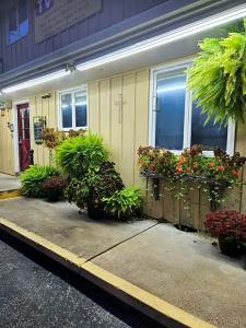 Homestead - 39