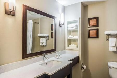 Comfort Inn & Suites West - Lookout Mountain - 35