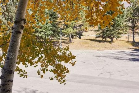 The Inn at - 52