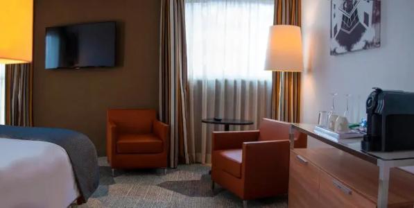 Holiday Inn Mulhouse, An Ihg - 101
