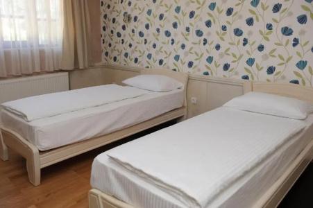 Centar Balasevic - 45