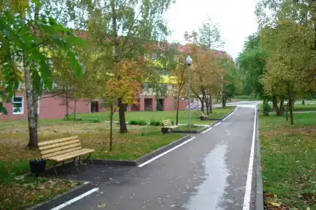 Железняки - 12
