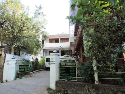 Mango Garden - 12