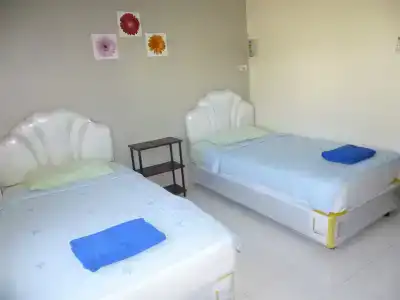 Pineapple - 3