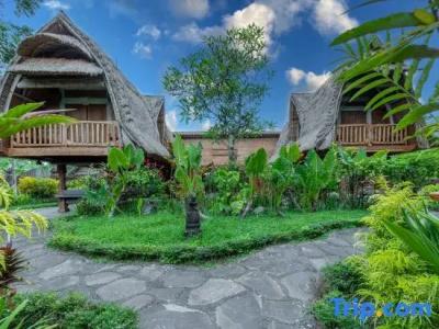 Permata Ayung Private Estate (Adults Only) - 185