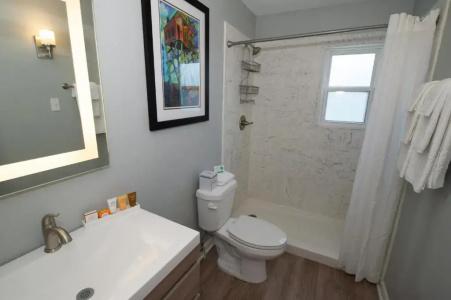 Frenchmen Orleans at 519, Ascend Collection - 48