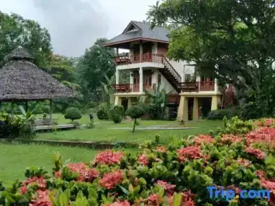Pai Vimaan - 94