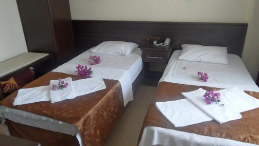 Green Palm - 2