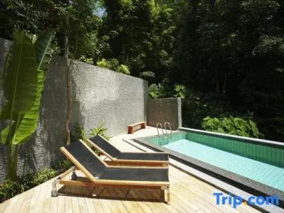 Jirana Patong - 170
