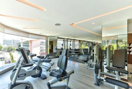 Hilton - 25
