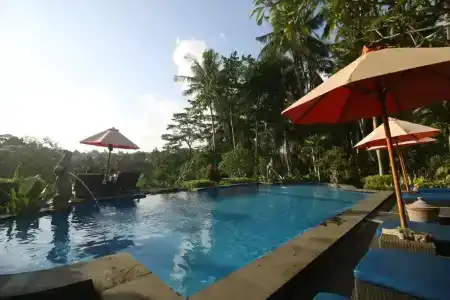 Capung Mas - 39
