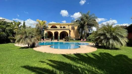 Riad Noumidya - 38