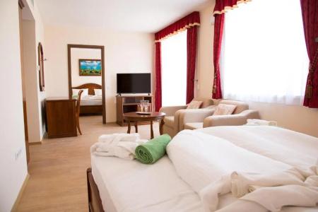 Luxury Spa & Conference - 3