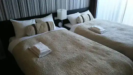 Kuretake Inn Premium Hamamatsucho - 3