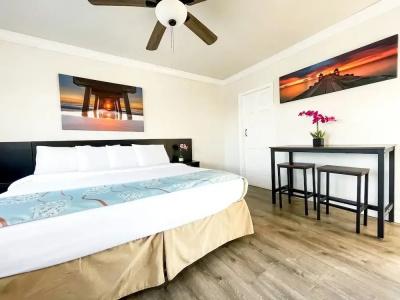 The Palms - 16