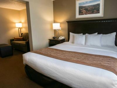 Comfort Suites Austin Airport - 54