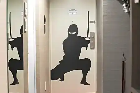 Ninja Black - 35
