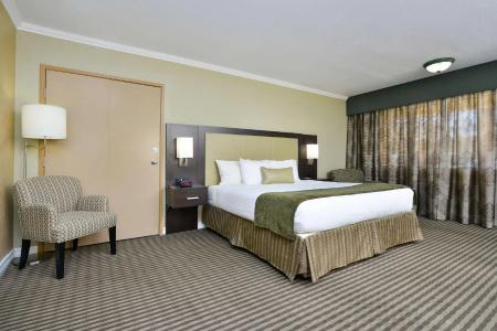Best Western Royal Sun Inn & Suites - 97