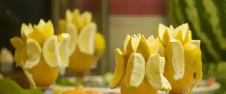Palm D'or - 14