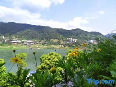 Wuyu (Chongqing Jinyun Mountain, Southwest University) - 28
