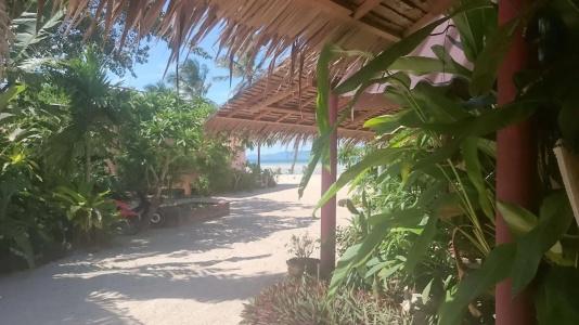 Papillon Bungalows - 17