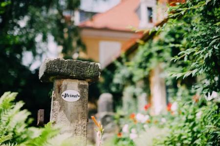 Villa Sorgenfrei & Restaurant Atelier Sanssouci - 78