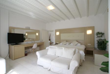 Dionysos Luxury Mykonos - 3