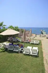 Vital Beach - 7