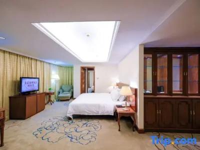 Kinkey Oriental Regent - 12