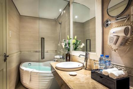 Silverland Jolie - 12