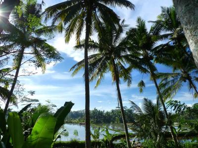 Temuku Villas - 34