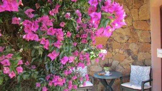 Li Suari Club Village - 66