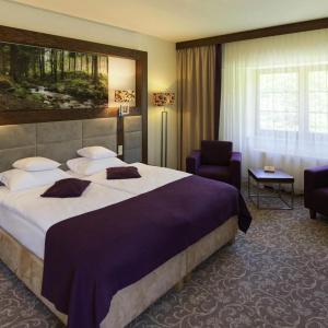 Mercure Krynica Zdrój Resort&Spa - 38