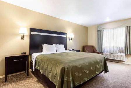 Quality Inn Airport - 53