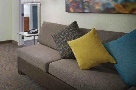 Residence Inn Houston by The Galleria - 50