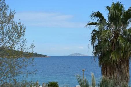 Apollon - 59
