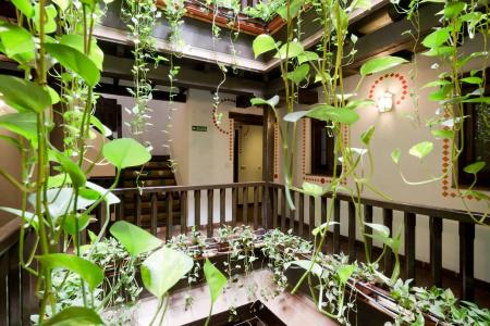 Oasis Backpackers' - 20