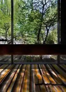 Bonaventure - 7