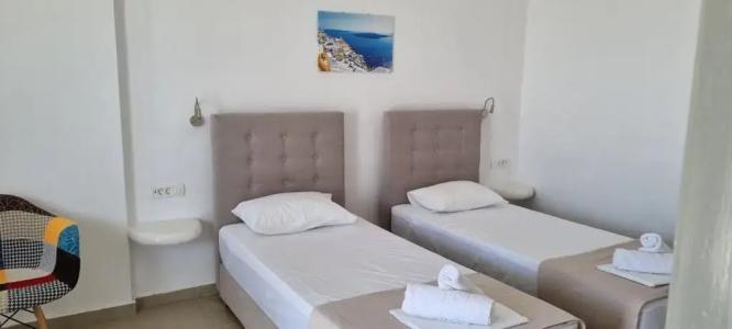 Thira's Dolphin - 114