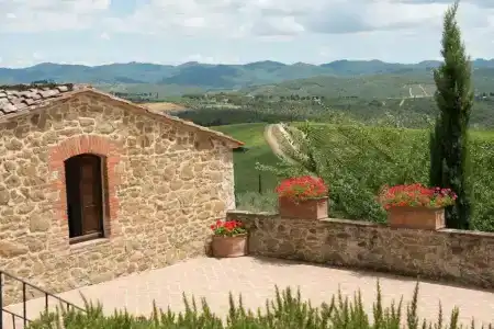 Wine Dievole - 47