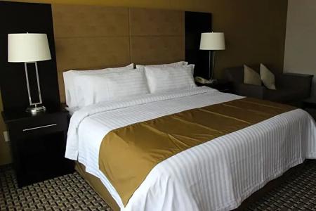 Holiday Inn Mexico Santa Fe, An Ihg - 27