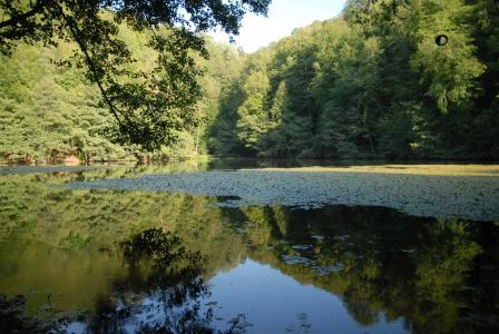 Bolu Termal - 14