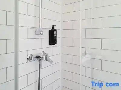 Ibis Paris Tour Eiffel Cambronne 15ème - 45