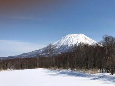 Resort Inn Niseko - 39